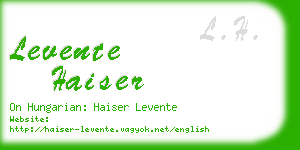 levente haiser business card